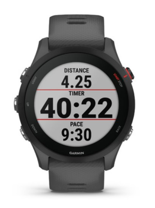 Garmin Forerunner 255 Slate Grey