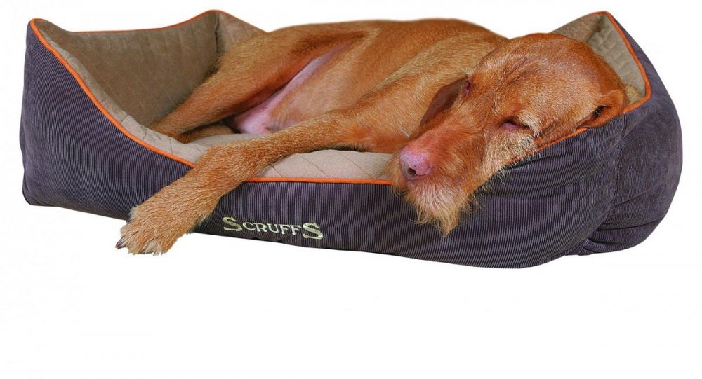 Obrázok SCRUFFS THERMAL BOX BED HNEDY S 50X40CM (974-01080)