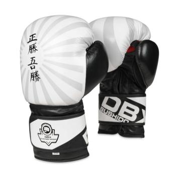 B-2V8 12 OZ BOXERSKÉ RUKAVICE DBX BUSHIDO