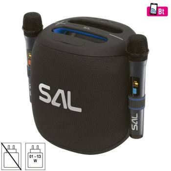 SAL PARCUBE PRENOSNY BOOM-BOX