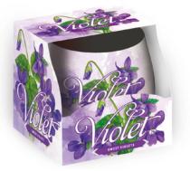 SANTO VONNA SVIECKA V SKLE 100G VIOLET