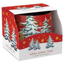 SANTO VONNA SVIECKA V SKLE 100G WHITE WINTER TREES