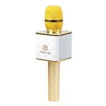 TECHNAXX BLUETOOTH KARAOKE MIKROFON SO STEREO REPRODUKTOROM, BT-X31, 4685
