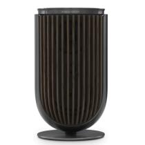 BANG & OLUFSEN BeoLab 8 Black Anthracite