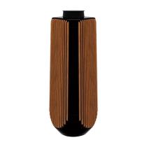 BANG & OLUFSEN BeoLab 50 Speaker Black