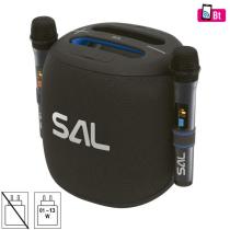 SAL PARCUBE PRENOSNY BOOM-BOX