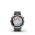 GARMIN FENIX 7S PRO SOLAR, SILVER STAINLESS STEEL, GRAPHITE BAND 010-02776-01