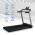 CAPITAL SPORTS COMPACT SPACE X, BEZECKY PAS, BEZECKA PLOCHA 123 X 44 CM, 1,5 HP, SKLADACI, 10035144