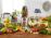NUTRIBULLET PRO 900W