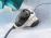 ELECTROLUX EC41-2SW