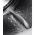 ELECTROLUX EW8H258BC