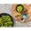 ELECTROLUX LUB1AF19W