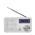EMOS E0086 RADIO EM 213 USB BIELO SIVA