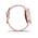 GARMIN VIVOACTIVE 4S DUST ROSE/LIGHT GOLD 010-02172-33