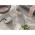 ELECTROLUX EB61H6SW