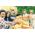 KLARSTEIN BIG SPENDER SINGLE, CHLADNICKA NA NAPOJOVY SUD, SUDY DO 50L, 10031955
