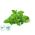 ALFAPUREO MINT FRESH 200 ML - DEZINFEKCNY AROMA OLEJ