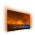PHILIPS 55OLED804/12