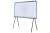 SAMSUNG QE49LS01TBUXXH