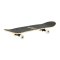 Skateboard NILS Extreme CR3108 Camper