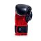 Boxerské rukavice DBX BUSHIDO DBD-B-3 10 oz