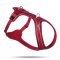 CURLI Postroj pre psov Belka Comfort Red L, 25-33 kg