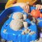 PETITE&amp;MARS Stolík hrací na vodu a piesok Sandy Teo