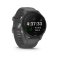 GARMIN FORERUNNER 255, SLATE GREY, 010-02641-10