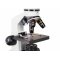 (CZ) Digitálny mikroskop Levenhuk Rainbow D2L 0,3M, Moonstone (Moonstone, EN)
