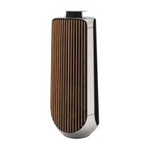 BANG & OLUFSEN BeoLab 50 Speaker Silver